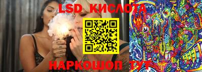 apvp Свободный