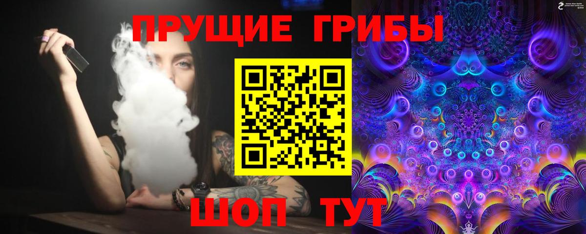 Новокубанск  как найти закладки  Галлюциногенные грибы мицелий  Вход с VPN  Галлюциногенные грибы прущие грибы 