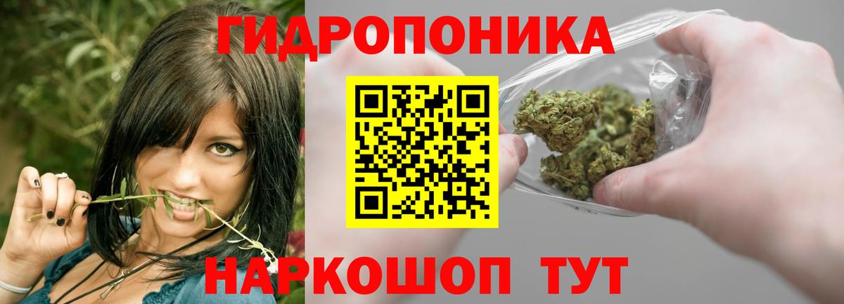 МАРИХУАНА семена  Бошки Шишки марихуана  Новокубанск  Вход с VPN  Бошки марихуана планчик 